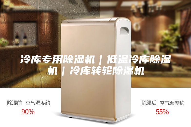 冷庫專用除濕機(jī)|低溫冷庫除濕機(jī)|冷庫轉(zhuǎn)輪除濕機(jī)