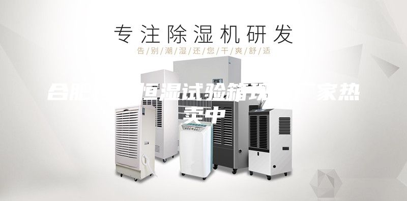 合肥恒溫恒濕試驗(yàn)箱現(xiàn)貨廠家熱賣中