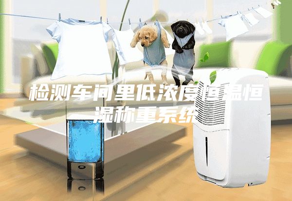 檢測車間里低濃度恒溫恒濕稱重系統(tǒng)