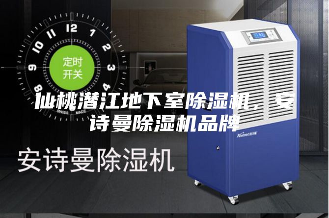 仙桃潛江地下室除濕機,安詩曼除濕機品牌