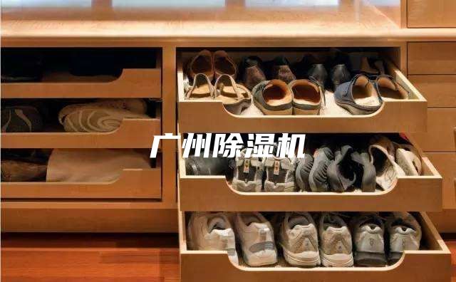 廣州除濕機