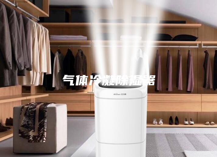 氣體冷凝除濕器