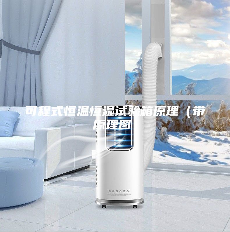 可程式恒溫恒濕試驗箱原理(帶原理圖)