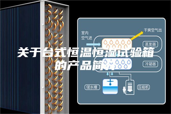 關(guān)于臺(tái)式恒溫恒濕試驗(yàn)箱的產(chǎn)品簡(jiǎn)介