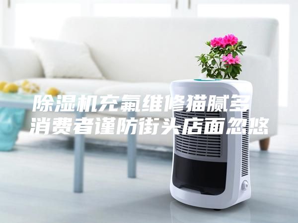 除濕機充氟維修貓膩多 消費者謹防街頭店面忽悠