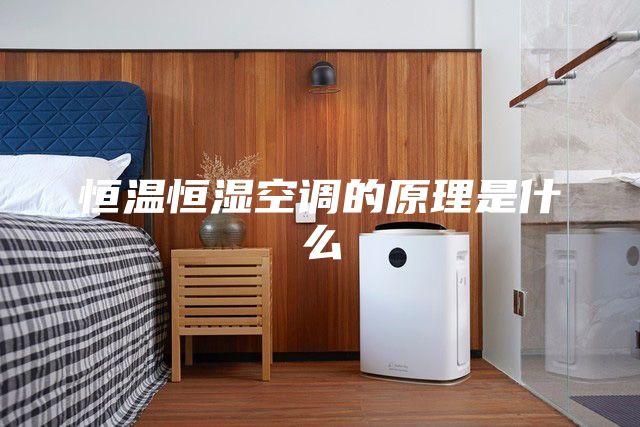 恒溫恒濕空調的原理是什么