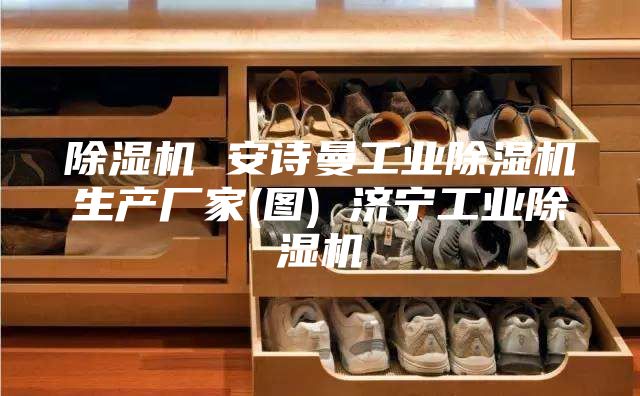 除濕機 安詩曼工業除濕機生產廠家(圖) 濟寧工業除濕機