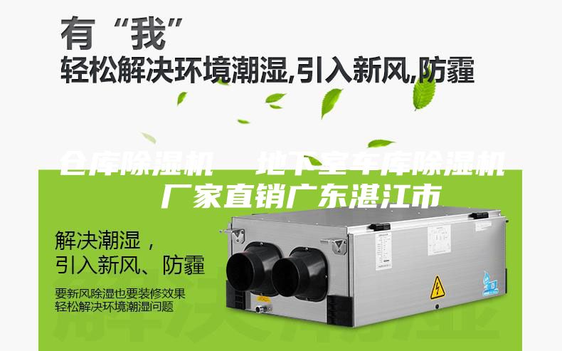 倉庫除濕機(jī)  地下室車庫除濕機(jī)  廠家直銷廣東湛江市