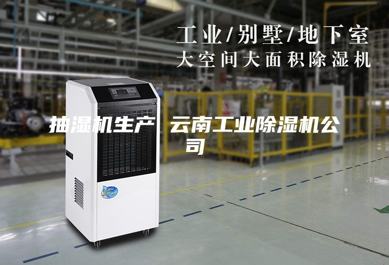 抽濕機生產 云南工業除濕機公司