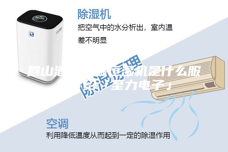 眉山酒窖恒溫恒濕機是什么服務(wù)介紹「至力電子」