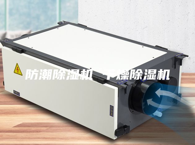 防潮除濕機(jī) 干燥除濕機(jī)