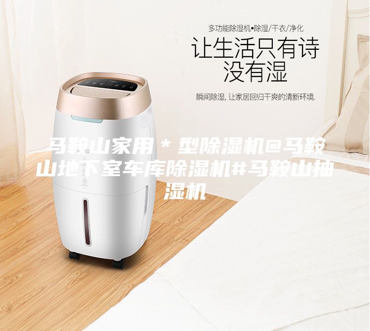 馬鞍山家用＊型除濕機(jī)@馬鞍山地下室車庫除濕機(jī)#馬鞍山抽濕機(jī)