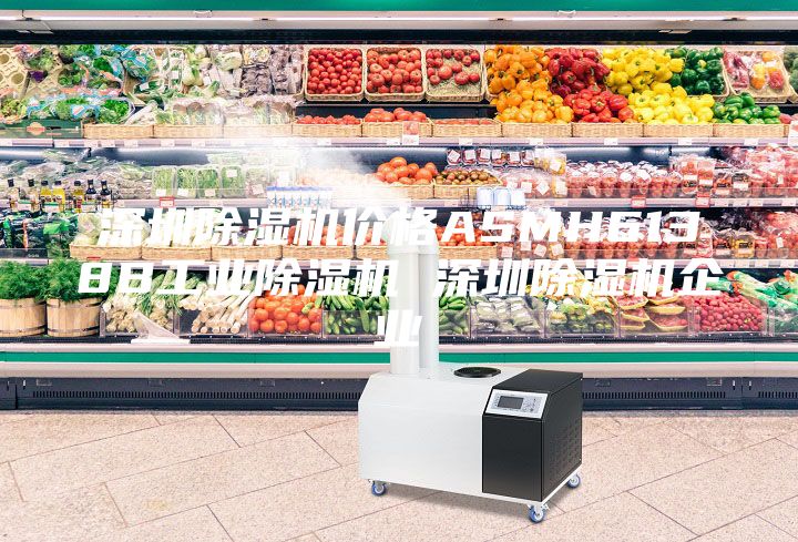 深圳除濕機價格ASMH6138B工業(yè)除濕機 深圳除濕機企業(yè)