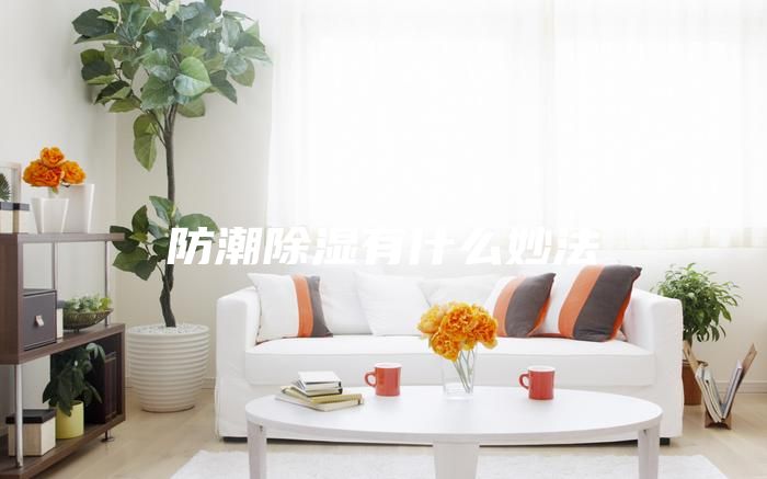 防潮除濕有什么妙法