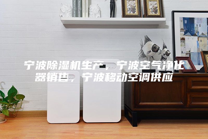 寧波除濕機生產，寧波空氣凈化器銷售，寧波移動空調供應