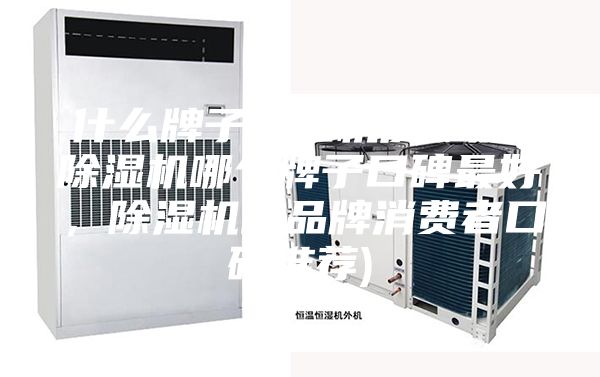 什么牌子除濕機質量好(除濕機哪個牌子口碑最好，除濕機的品牌消費者口碑推薦)