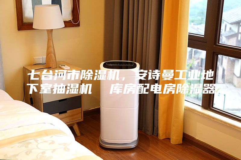 七臺河市除濕機，安詩曼工業地下室抽濕機  庫房配電房除濕器