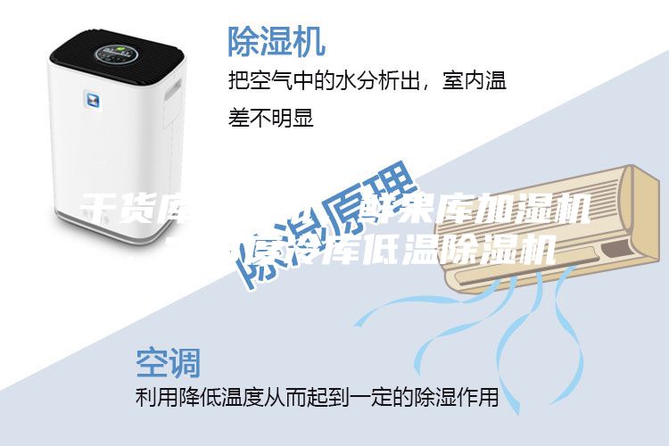干貨庫(kù)除濕機(jī)，鮮果庫(kù)加濕機(jī)，2-8度冷庫(kù)低溫除濕機(jī)