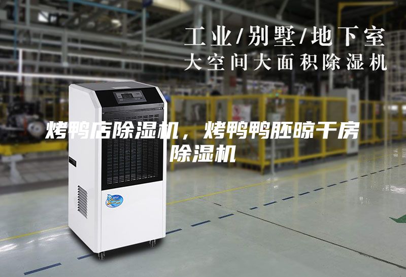 烤鴨店除濕機(jī)，烤鴨鴨胚晾干房除濕機(jī)