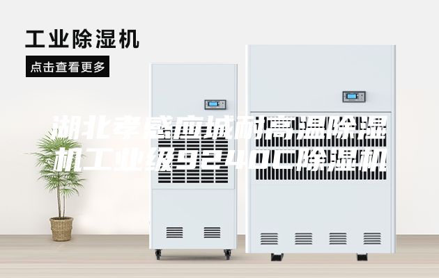 湖北孝感應城耐高溫除濕機工業級9240C除濕機