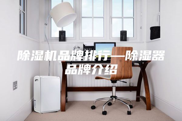 除濕機(jī)品牌排行—除濕器品牌介紹