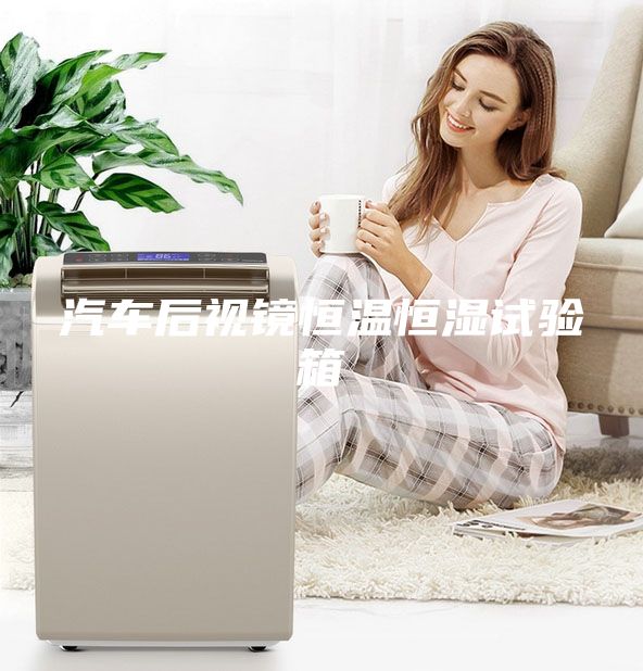 汽車后視鏡恒溫恒濕試驗箱