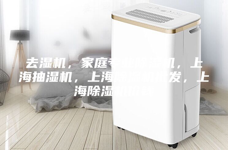 去濕機,家庭專業除濕機,上海抽濕機,上海除濕機批發,上海除濕機價錢