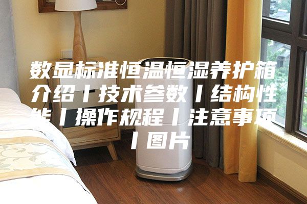 數(shù)顯標(biāo)準(zhǔn)恒溫恒濕養(yǎng)護箱介紹丨技術(shù)參數(shù)丨結(jié)構(gòu)性能丨操作規(guī)程丨注意事項丨圖片