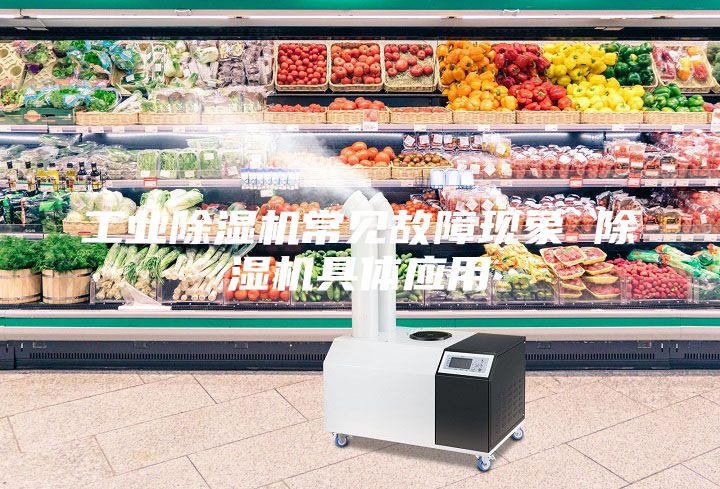 工業(yè)除濕機常見故障現(xiàn)象 除濕機具體應(yīng)用