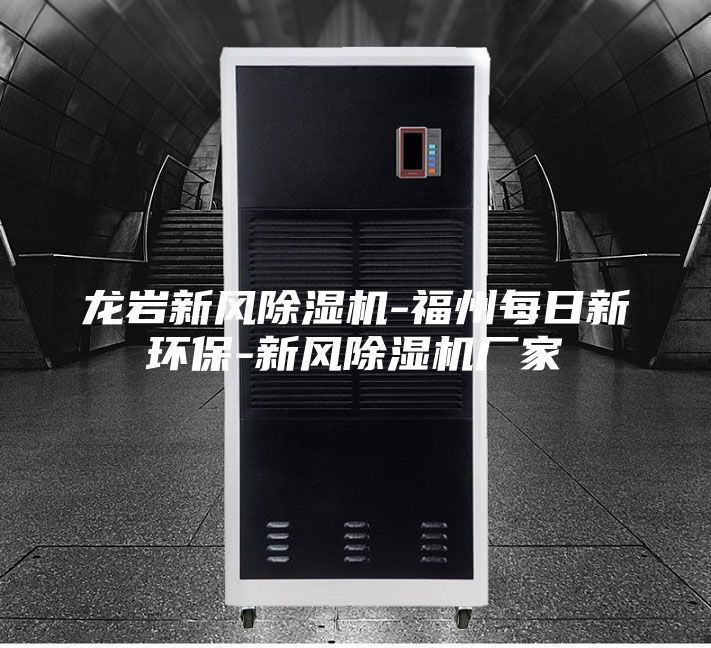 龍巖新風除濕機-福州每日新環(huán)保-新風除濕機廠家