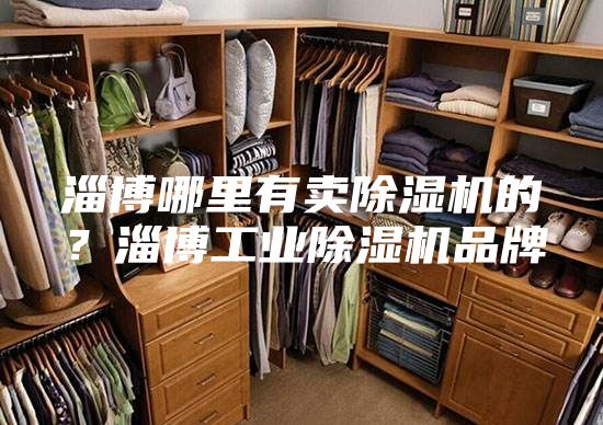 淄博哪里有賣除濕機(jī)的？淄博工業(yè)除濕機(jī)品牌