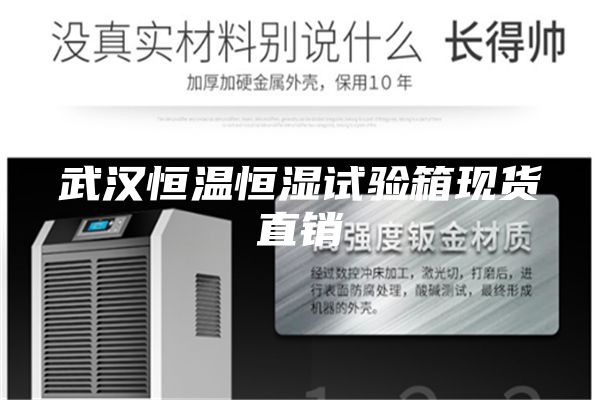 武漢恒溫恒濕試驗(yàn)箱現(xiàn)貨直銷(xiāo)