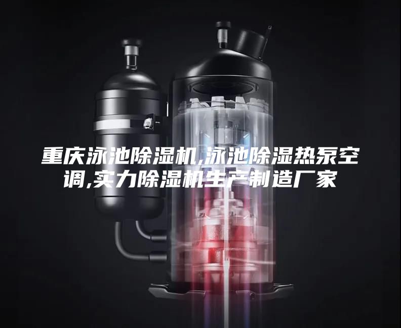 重慶泳池除濕機(jī),泳池除濕熱泵空調(diào),實(shí)力除濕機(jī)生產(chǎn)制造廠家