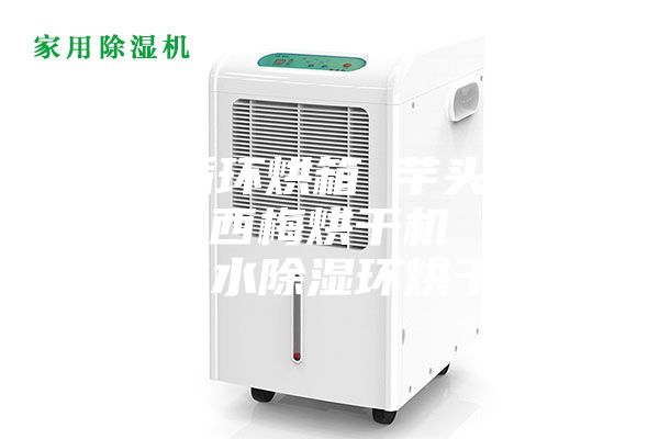 熱風循環(huán)烘箱 芋頭條烘干機 西梅烘干機 芒果干脫水除濕環(huán)烘干機