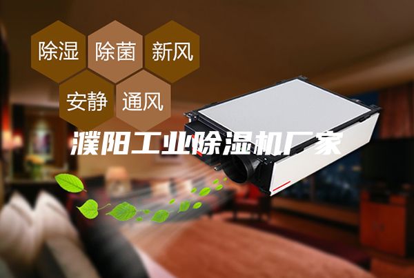 濮陽工業(yè)除濕機(jī)廠家