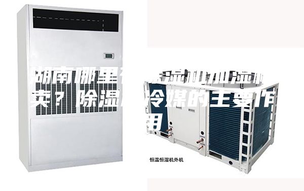 湖南哪里有除濕機(jī)加濕機(jī)賣？除濕機(jī)冷媒的主要作用