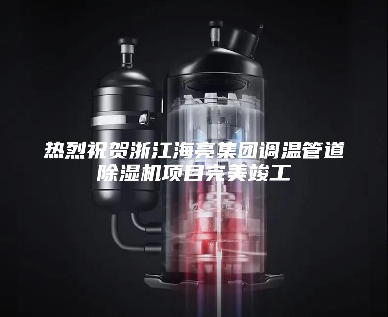 熱烈祝賀浙江海亮集團(tuán)調(diào)溫管道除濕機(jī)項(xiàng)目完美竣工