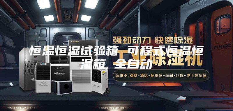 恒溫恒濕試驗(yàn)箱 可程式恒溫恒濕箱 全自動(dòng)