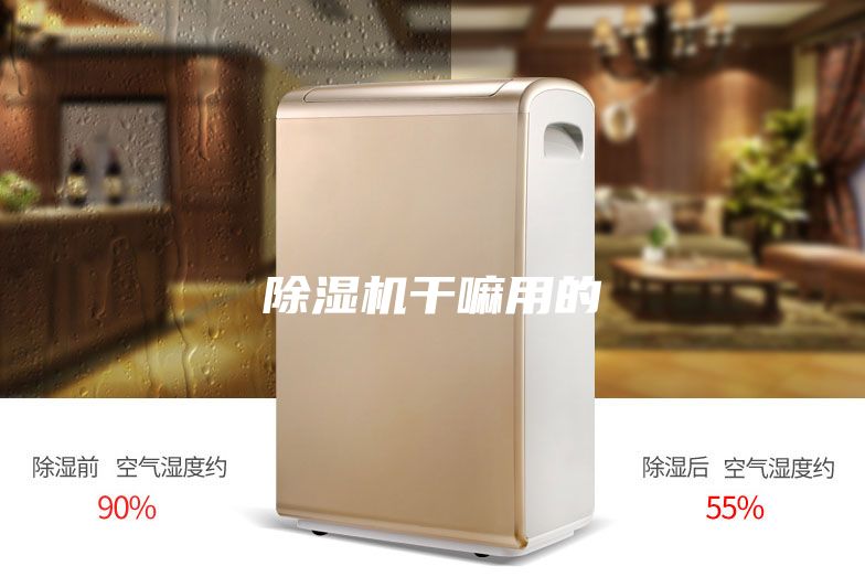 除濕機(jī)干嘛用的