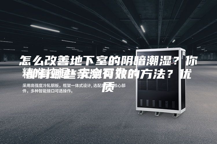 怎么改善地下室的陰暗潮濕？你都有哪些親測有效的方法？優質