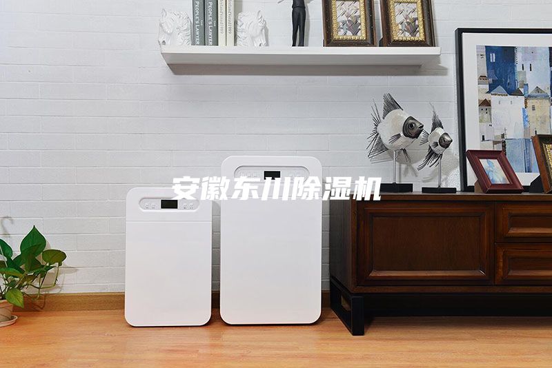 安徽東川除濕機(jī)