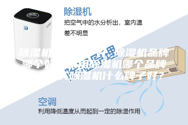 除濕機哪個牌子好 除濕機品牌哪個好？家用除濕機哪個品牌好，想買除濕機什么牌子好？