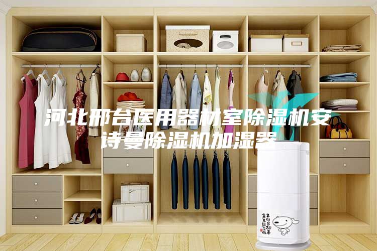 河北邢臺(tái)醫(yī)用器材室除濕機(jī)安詩(shī)曼除濕機(jī)加濕器