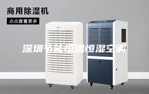 深圳節能恒溫恒濕空調