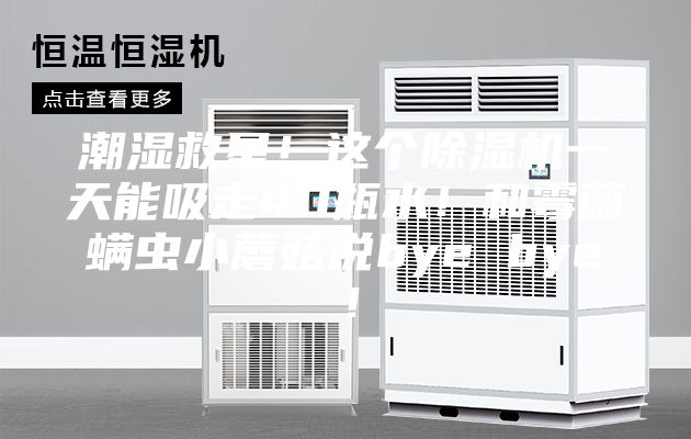 潮濕救星！這個除濕機一天能吸走40瓶水！和霉菌螨蟲小蘑菇說bye bye！