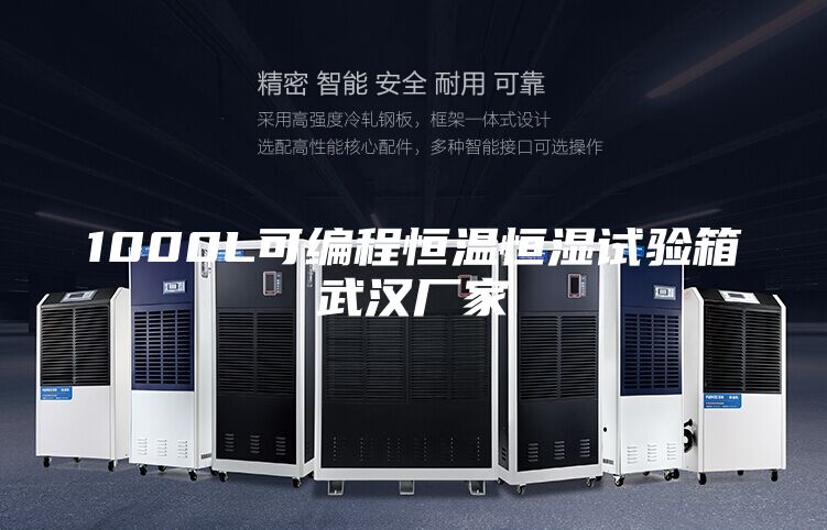 1000L可編程恒溫恒濕試驗箱武漢廠家