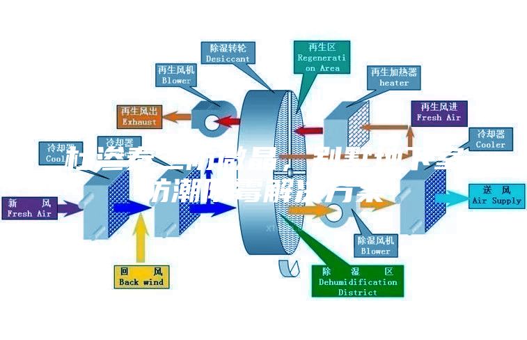 杜滲泰三防微晶，別墅地下室防潮防霉解決方案