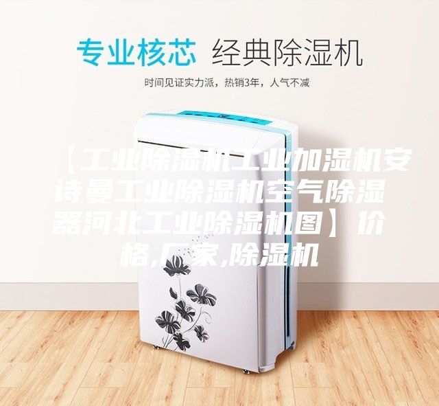 【工業除濕機工業加濕機安詩曼工業除濕機空氣除濕器河北工業除濕機圖】價格,廠家,除濕機