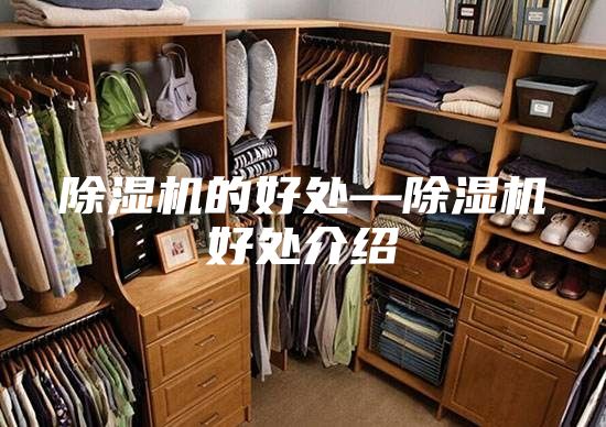 除濕機(jī)的好處—除濕機(jī)好處介紹