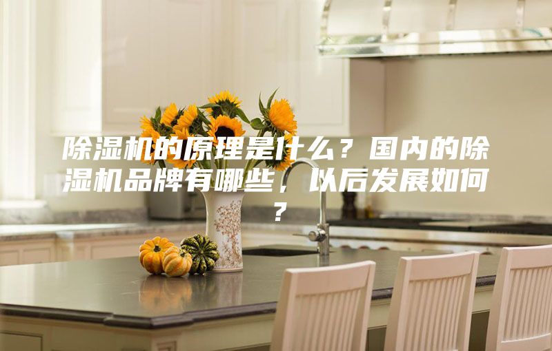 除濕機的原理是什么?國內的除濕機品牌有哪些,以后發展如何?